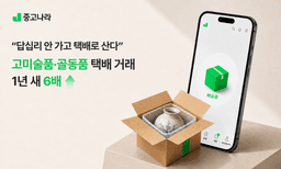 레트로 소비가 바꾼 골동품 시장, 이제는 택배로 산다